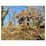 2806 ONTARIO STREET, KNOXVILLE, TN  37914