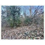 1121 LOVES CREEK ROAD, KNOXVILLE, TN  37924