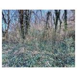 218 SHIPMAN DRIVE, KNOXVILLE, TN  37918