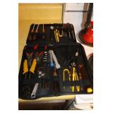 (2) SMALL TOOL SETS IN ZIPPERED CASES