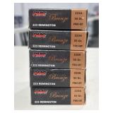 100 RDS PMC 223 REM AMMO 55 GRAIN FMJ