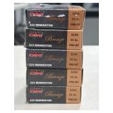 100 RDS PMC 223 REM AMMO 55 GRAIN FMJ