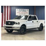 2004 FORD F - 150