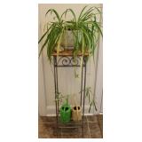 Indoor Wrought Iron Plant Stand w/ Potted Plant
