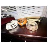 Menï¿½s belt collection