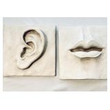 Plaster ear and lips wall sculptures