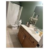 Contents of hall bathroom