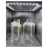 (4) GLASS DOMES