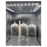 (3) GLASS DOMES