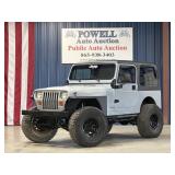 1994 Jeep WRANGLER SE