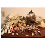 Beach Shells Wind Chimes & Conch Shells