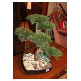 ARTIFICIAL CEDAR BONSAI PLANT/TREE