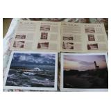 Essexbank England Coast Photo Prints