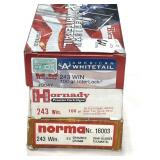 60 RDS ASSTD. .243 WIN AMMO