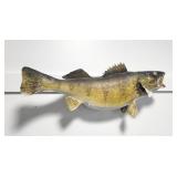 WALLEYE FISH MOUNT