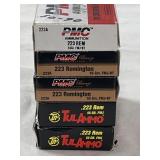 100 RDS .223 REM AMMO