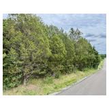 111 BRITTON DRIVE, TALBOTT, TN  37877