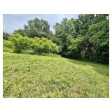 18+/- AC - 378 JOHNSON HOLLOW RD., NEW TAZEWELL TN