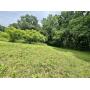 18+/- ACRES - 378 JOHNSON HOLLOW ROAD, NEW TAZEWELL, TN  378