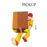 PICKUP/REMOVAL: WE WILL HAVE 2 DAY PICKUP -
