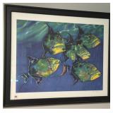 FRAMED PRINT "QUEEN TRIGGERFISH" BY DANIEL JEAN -