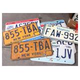 LICENSE PLATES
