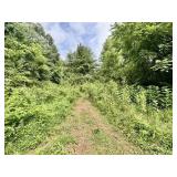 LOT 2 | 6.54 +/- Acres