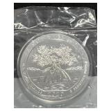 2020 AMERICA THE BEAUTIFUL 5 OZ UNC SILVER COIN -