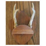4 Point Taxidermy Deer Antler Rack