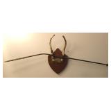 Spike Taxidermy Deer Antler Rack w/ Arrow
