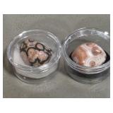 Lake Superior Thompsonite Stones