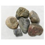 Fairburn Agate Rock Collection