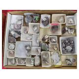 Rock & Mineral Collection