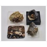 Rutile Star Twin, Fossile Peanut Wood & Epodite +