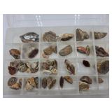 Tray of Rock Nodules