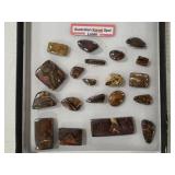 High Quality Australian Koroit Opal +