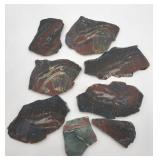 7pc Jasper India Slices