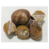 Lake Superior  & Laguna Agate Mex Agates