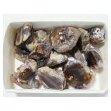 Mexican Fir Agate Collection