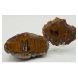 2pc KY Rare Agates
