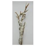 Natural Drift Wood Coated w/ Whitish