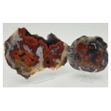 Rare KY Agate Slice & End Nodule