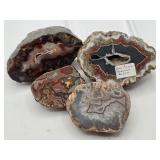 Puma, Agua Nueva, Laguna & Elendo Agates
