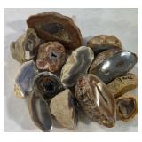 Agate Nodules - polished on one side