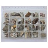 Collection of Half Nodules Tray