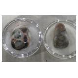 Gold in Matrix Stone & Jasper Stone