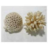 2pc Acroporidae Coral
