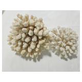 Humilis & Pharaonis Coral