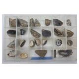 Half Nodules Tray