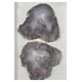 2pc Laguna Agate Slices from Mexico